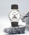 Timex Analog Watch  – For Men