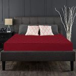 Sleepspa By Coirfit Orthopedic Mattress Doctor Recommended With High Density (Hr) Foam Dual Comfort Pressure Relieving Vitara Mattress | For Back Pain Durable Construction (75X30, 4 Inch)