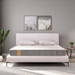 Springwel Easy Pureortho Cleantech Pro 6 Inch Queen Size Mattress (Size- 72X60X6 Inches)