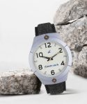 Fastrack 3191AL02 Denim Collection Analog Watch  – For Men