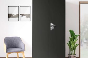 Interio by Godrej Storwel M2 2-Door Steel Almirah