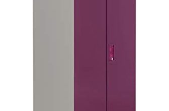 Interio by Godrej Slimline 2-Door Steel Almirah