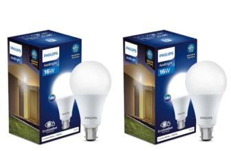 Philips Stellar Bright 16 Watt LED Bulb, Base B22,Cool Day Light, Pack of 2
