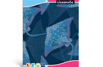 Classmate Notebook – 240mm x 180mm, Soft Cover, Single Line (Pack of 12)