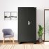 Interio by Godrej Slimline 2-Door Steel Almirah