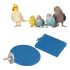 Sage Square Normal & Sand Perch Combo of 4 & 6 inches Natural Wood Rough Sand Perches Grinding Nail | Playstand, Training, Cage Accessories |Finches, Parrot, Budgies, Cockatiels (Pack of 2)