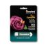 Classmate Notebook A4 Notebook Single Line 172 Pages(Multicolor, Pack of 6)