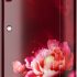 OnePlus Watch 2R with Wear OS 4 by Google,Snapdragon W5 Chipset,Upto 100hrs Battery Life,1.43’’ AMOLED Display,100+ Sports Mode,Dual Frequency GPS,5 ATM,IP68 & BT Calling [Gunmetal Gray]