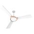 PHILIPS 14W LED Downlighter for Ceiling | Ceiling Secure Ceiling Light for Home & Hall | Cool Day Light, Pack of 4