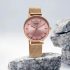 Titan Gents Karishma Ym Analog Watch  – For Men